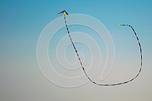 Long tail kite flying in blue sky