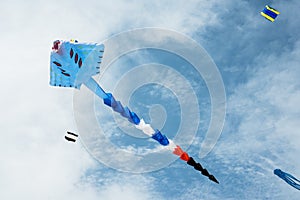 Long tail kite flying in cloudy sky