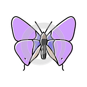 long tailed blue spring color icon vector illustration