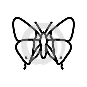 long tailed blue spring line icon vector illustration