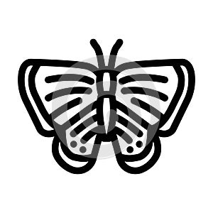 long tailed blue spring line icon vector illustration