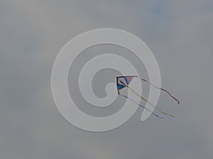 Long tailed kite flying under cloudy grey sky - Gujarat India kite flying festival