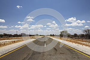 Long tar paved road through arid dry landscape to infinity. C38 road to Etosha national park, Namibia, Africa