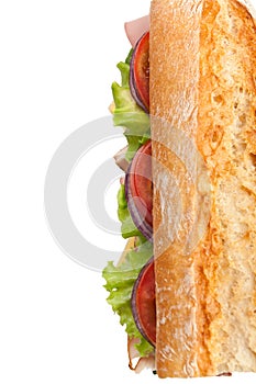 Long Tasty Baguette Sandwich