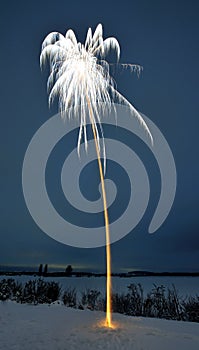 Long-term exposition of a firework