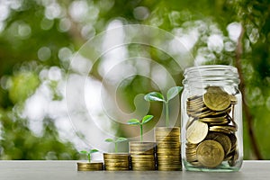 Long-term investment or making money with the right concepts. A plant growth on stack of coins on wood table with full coins in