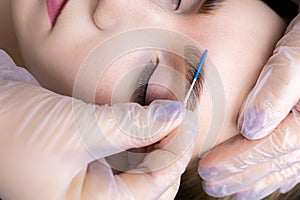 Long-term styling of eyebrow hairs using micro combs, which the master directs the hairs