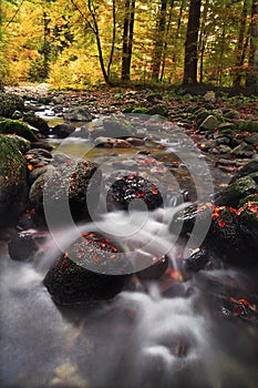 Long time exposure river with orange leafs and trees in autumn from Bavaria Germany