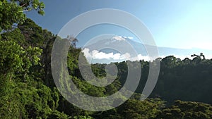 Long time lapse of majestic Kilimanjaro snowy mountain and green bushes in front