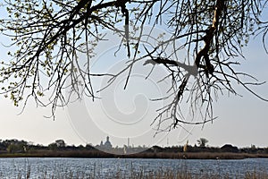 Long tree shadows in smmer day photo