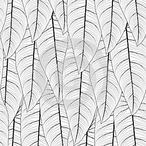 Long tropical leaves repeat seamless pattern photo