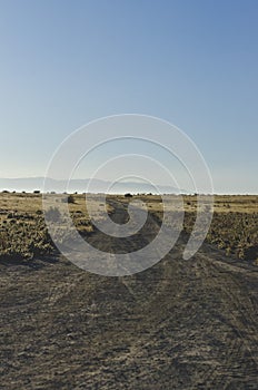 A long view of the country dirt road