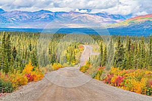 Long view of the Denali Highway
