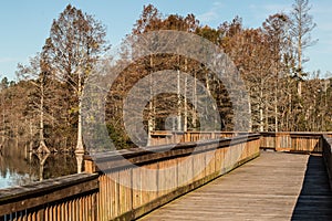 Long View of Fishing Pier at Stumpy Lake