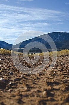 A long view of the open country road