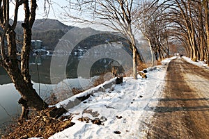 The long walk by the lake in winter