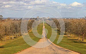 The Long Walk leading to Windsor Castle