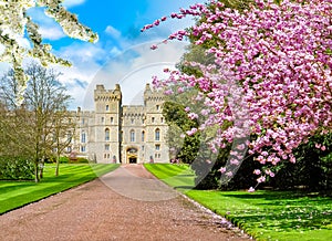 Long walk to Windsor castle in spring, London suburbs, UK