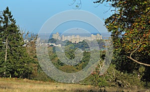 The Long Walk and Windsor Castle