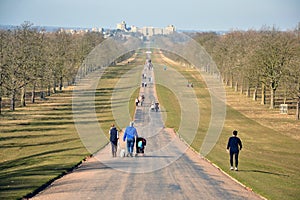 The Long Walk, Windsor Great Park, Windsor Castle, England