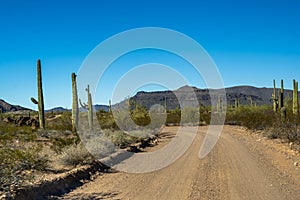 A long way down the road going to Organ Pipe Cactus NM, Arizona