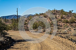 A long way down the road going to Organ Pipe Cactus NM, Arizona