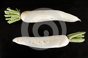 Long white Radish