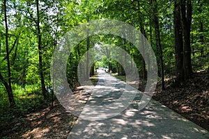 A long winding boardwalk along the river with a wooden rail along the sides with vast still river water, lush green trees