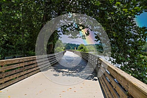 A long winding boardwalk along the river with a wooden rail along the sides with vast still river water, lush green trees