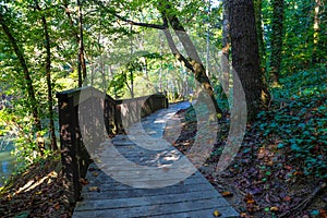 A long winding brown wooden footpath in the forest covered with fallen autumn leaves along a lush green lake