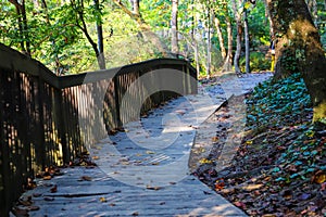 A long winding brown wooden footpath in the forest covered with fallen autumn leaves along a lush green lake