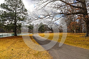 A long winding footpath in the park surrounded by yellow winter grass, bare winter trees, lush green trees with blue sky