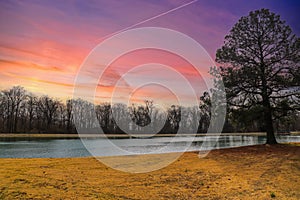 A long winding footpath in the park surrounded by yellow winter grass, bare winter trees, lush green trees with red sky