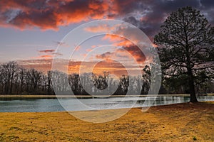 A long winding footpath in the park surrounded by yellow winter grass, bare winter trees, lush green trees with red sky