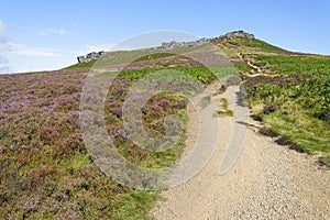 Long, winding path through heather and bracken to the top of Higger Tor