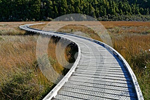 A long and winding path, Okarito wetland, west coast, Aotearoa / New Zealand