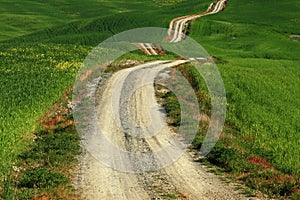 A long and winding rural path crosses the hills, Tuscany, Italy