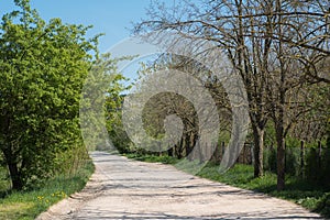 Long winding rural road