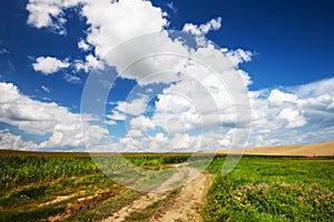 Long and winding rural road crosses the hills and fields