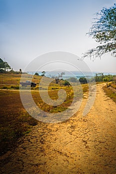 Long and winding rural road crosses the hills in the summer farm field with blue sky background and copy space for text.