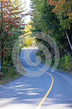 Long winding rural road surrounded by trees on a beautiful warm sunny fall day in Muskoka, Ontario