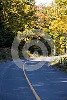 Long winding rural road surrounded by trees on a beautiful warm sunny fall day in Muskoka, Ontario