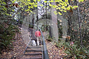 Long winding steps in Byrne Park photo