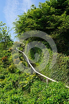 Long winding wooden stairs with handrail uphill in nature park in summer, wooden stairway