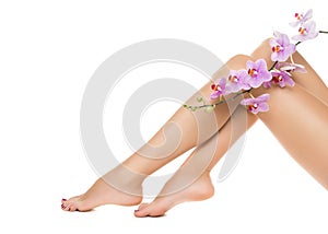 Long woman legs and orchids