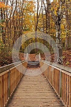 A long wood bridge and steps leading to a forest preserve with fall foliage on the trees and covering the ground in Kenosha, WI