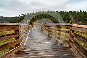 Long wood walkway