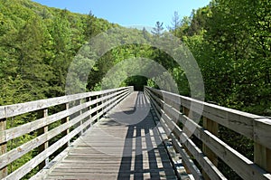 The long wooded bridge.