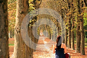 Long wooded path with a woman walking down it