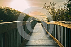 A long wooden boadwalk seems to stretch to infinity. Walkway through the lake and native forest, Oceano, California photo